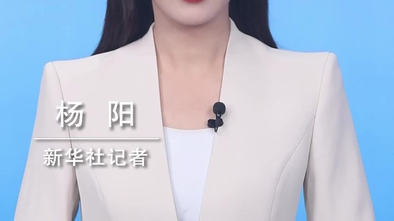 软件测试工程师：职业门槛与成长路径揭秘